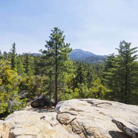 Bild von Thousand Trails Idyllwild