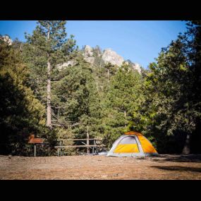 Bild von Thousand Trails Idyllwild