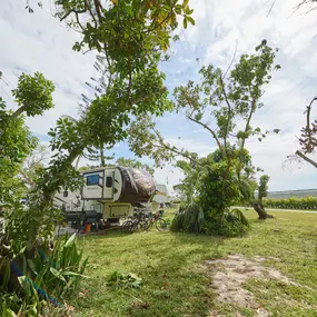 Bild von Encore Miami Everglades