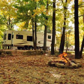 Bild von Tranquil Timbers Campground