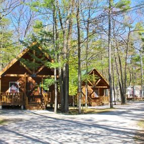 Bild von Tranquil Timbers Campground