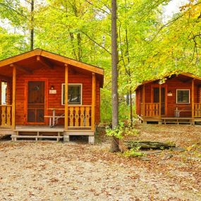 Bild von Tranquil Timbers Campground