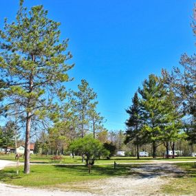 Bild von Tranquil Timbers Campground