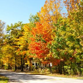 Bild von Tranquil Timbers Campground