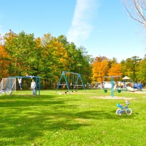 Bild von Tranquil Timbers Campground