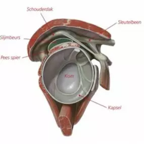 Fysiotherapie Paramedisch Centrum Albergen