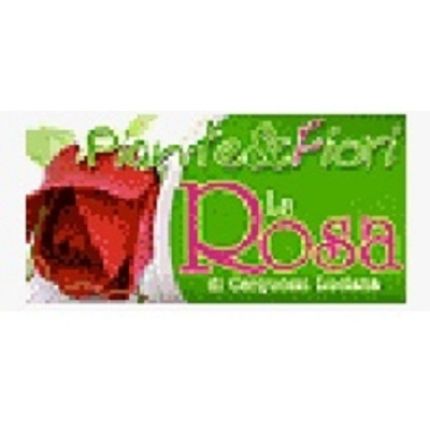 Logótipo de Piante e Fiori La Rosa