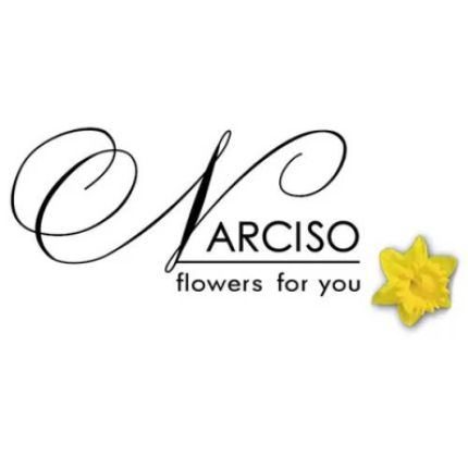 Logo von Narciso Fiori e Piante