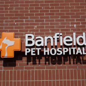 Banfield Pet Hospital® - Newport News