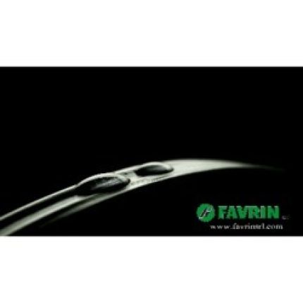 Logo von Favrin SRL
