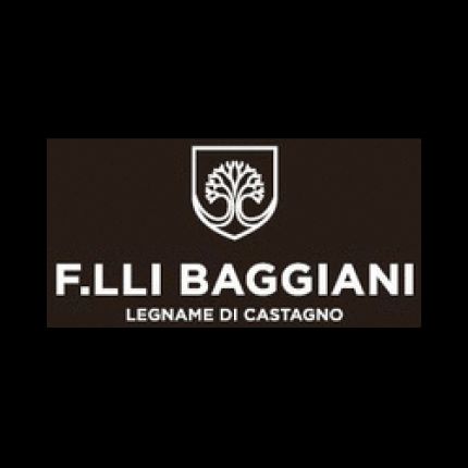 Λογότυπο από Baggiani F.lli