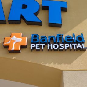 Banfield Pet Hospital - Fort Myers