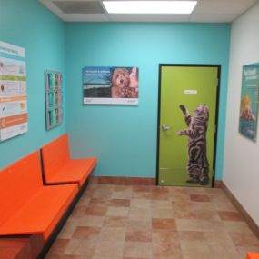 Bild von Banfield Pet Hospital