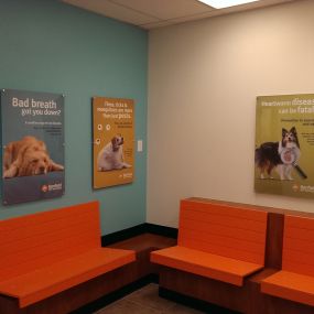 Bild von Banfield Pet Hospital