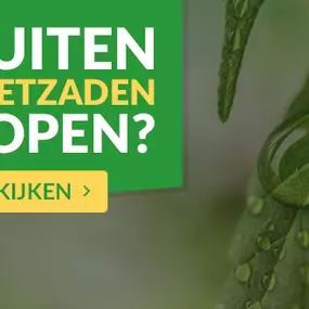 buiten wietzaden kopen