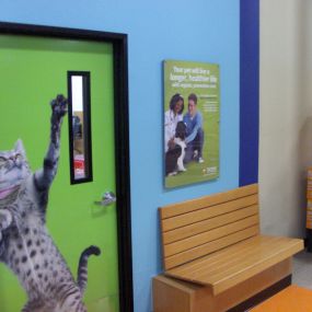 Bild von Banfield Pet Hospital