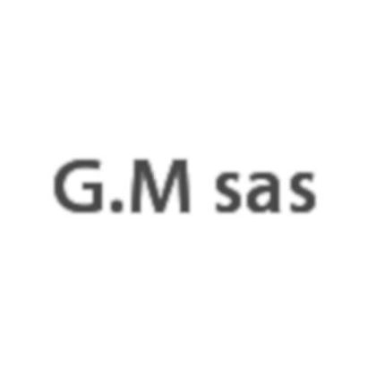 Logo de G.M. S.R.L