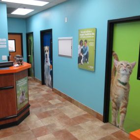 Bild von Banfield Pet Hospital