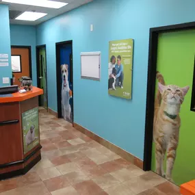 Bild von Banfield Pet Hospital