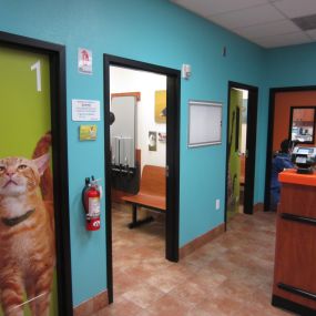 Bild von Banfield Pet Hospital