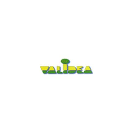 Logo van Validea