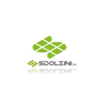 Logotipo de Sdolzini Srl