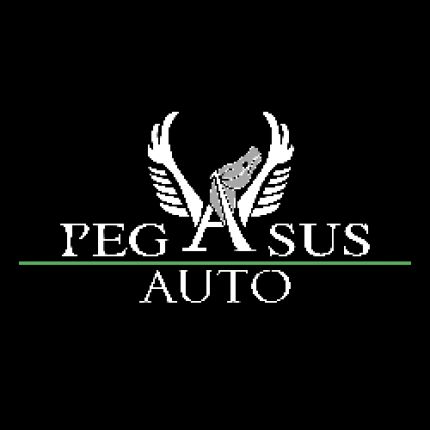 Logo fra Pegasus Auto Vendita & Noleggio