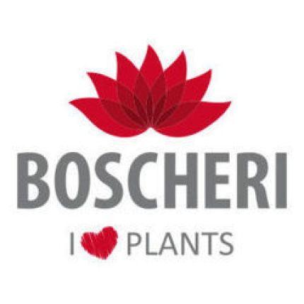 Logo von Matteo Boscheri Ingrosso