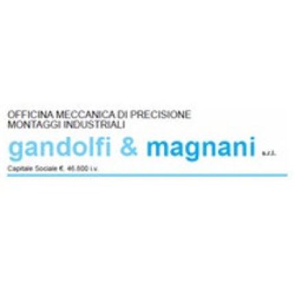 Logo van Gandolfi & Magnani Srl