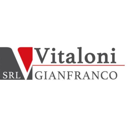 Logo van Vitaloni Gianfranco S.r.l. - Sabbiatura e Verniciatura Industriale