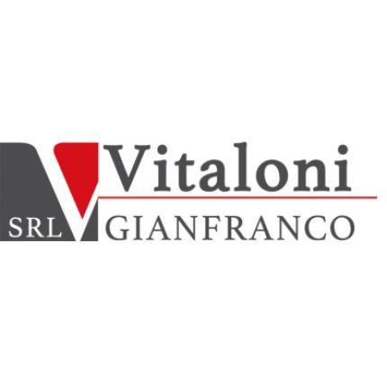 Logótipo de Vitaloni Gianfranco S.r.l. - Sabbiatura e Verniciatura Industriale