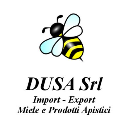 Logo de Dusa Srl