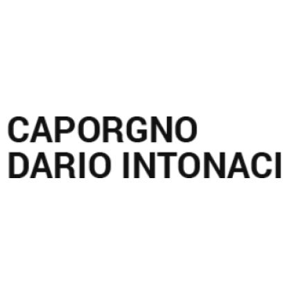 Logotyp från Caporgno Dario Intonaci