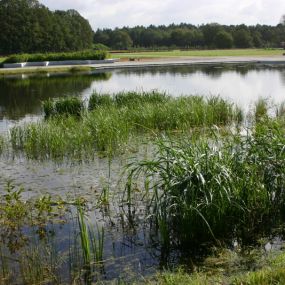 Biodivers BV Zaden