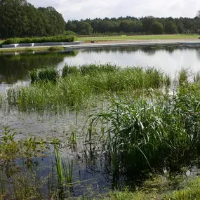 Biodivers BV Zaden