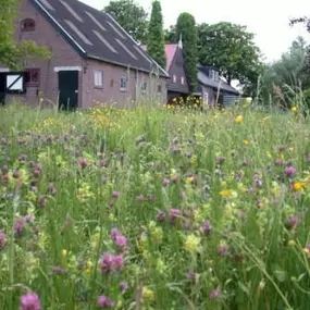 Biodivers BV Zaden