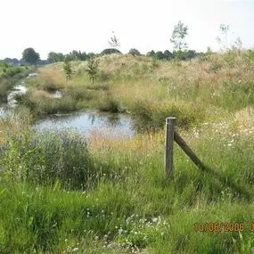 Biodivers BV Zaden