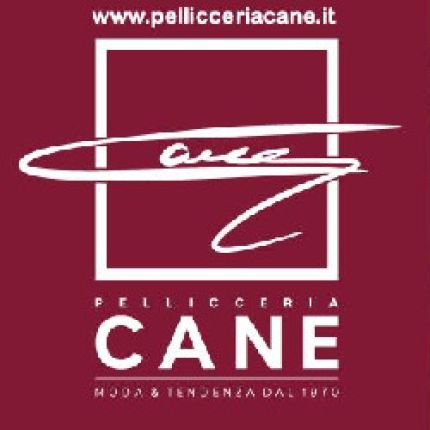 Logotyp från Pellicceria Cane