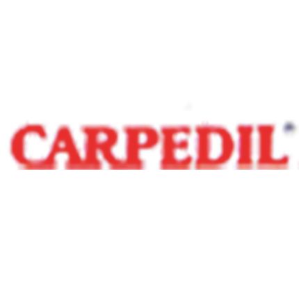 Logo fra Carpedil