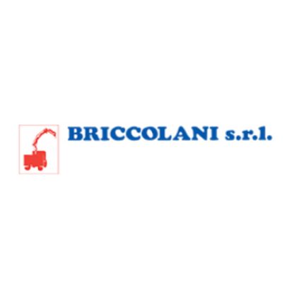 Logotyp från Briccolani