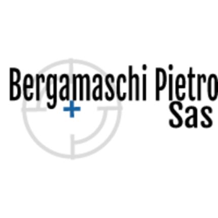 Logotyp från Bergamaschi Pietro Sas