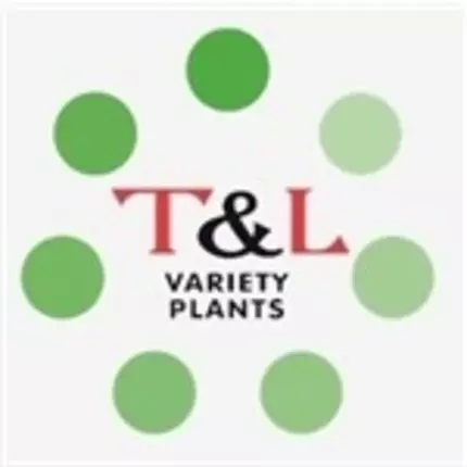 Logo fra T & L Variety Plants