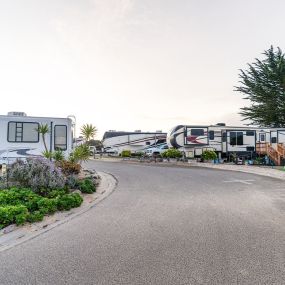 Bild von Pacific Dunes Ranch Campground