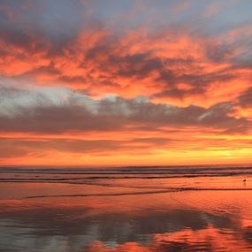 Bild von Pacific Dunes Ranch Campground