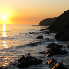 Bild von Pacific Dunes Ranch Campground