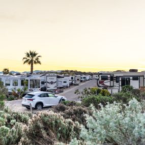 Bild von Pacific Dunes Ranch Campground