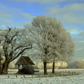 Winter in twente