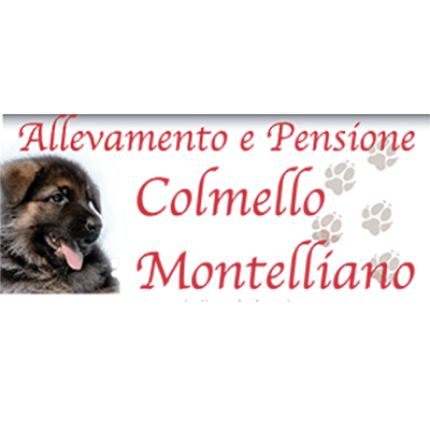 Logotyp från Allevamento Pastori Tedeschi del Colmello Montelliano