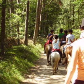 Lamoen Ponyrecreatie en Huifkarverhuur Het