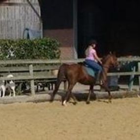 Lamoen Ponyrecreatie en Huifkarverhuur Het